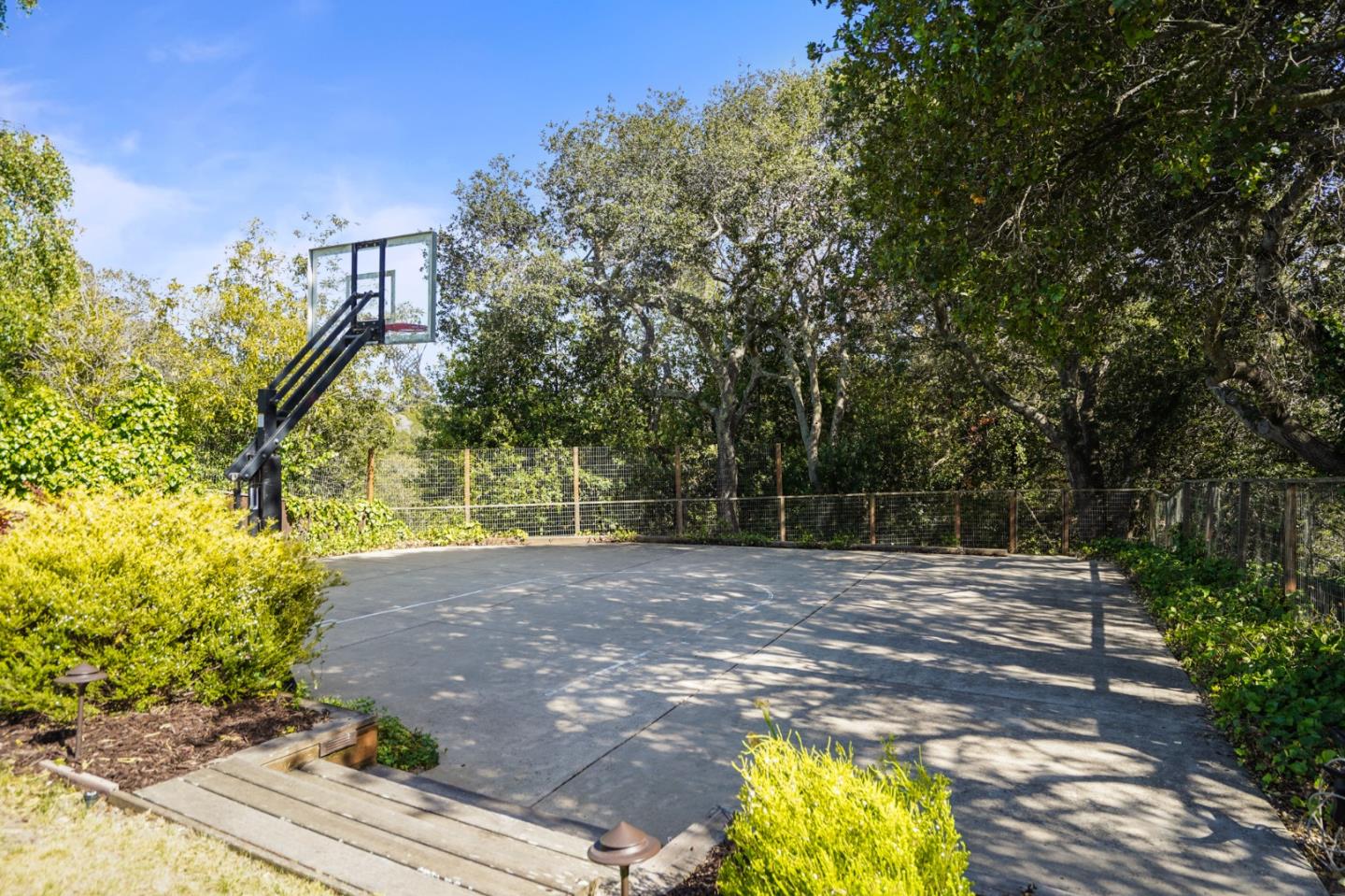 2533 Hayward Drive Burlingame, CA 94010 - Photo 45 of 47 a view of a yard with plants and tree