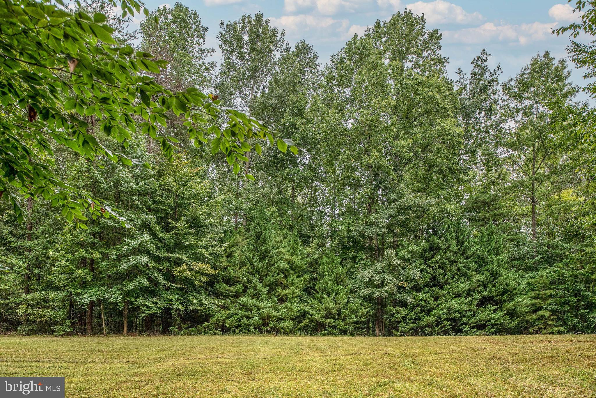 18 Marsh Run Road Fredericksburg, VA 22406 - Photo 54 of 68 Gallery Image 54