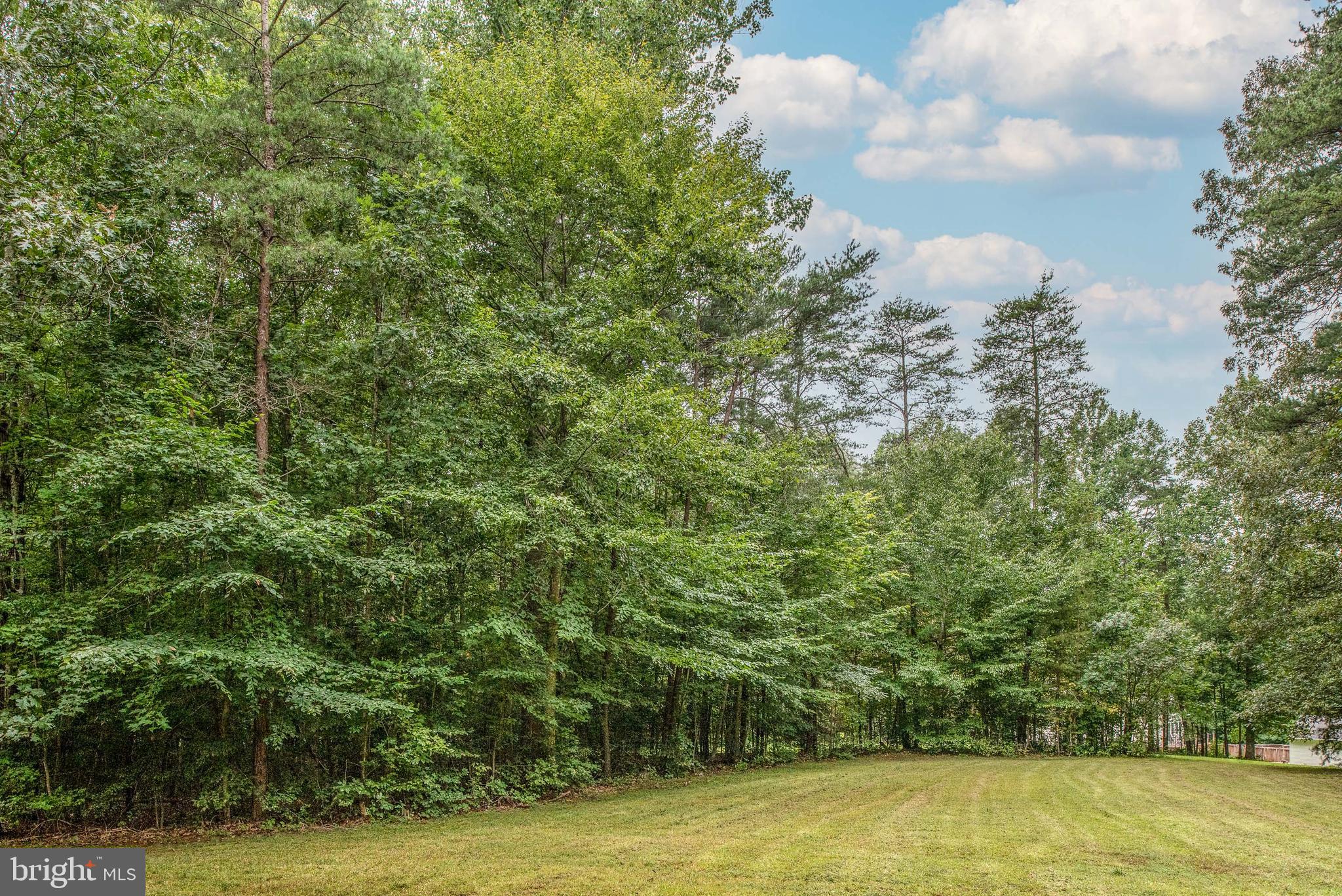 18 Marsh Run Road Fredericksburg, VA 22406 - Photo 56 of 68 Gallery Image 56