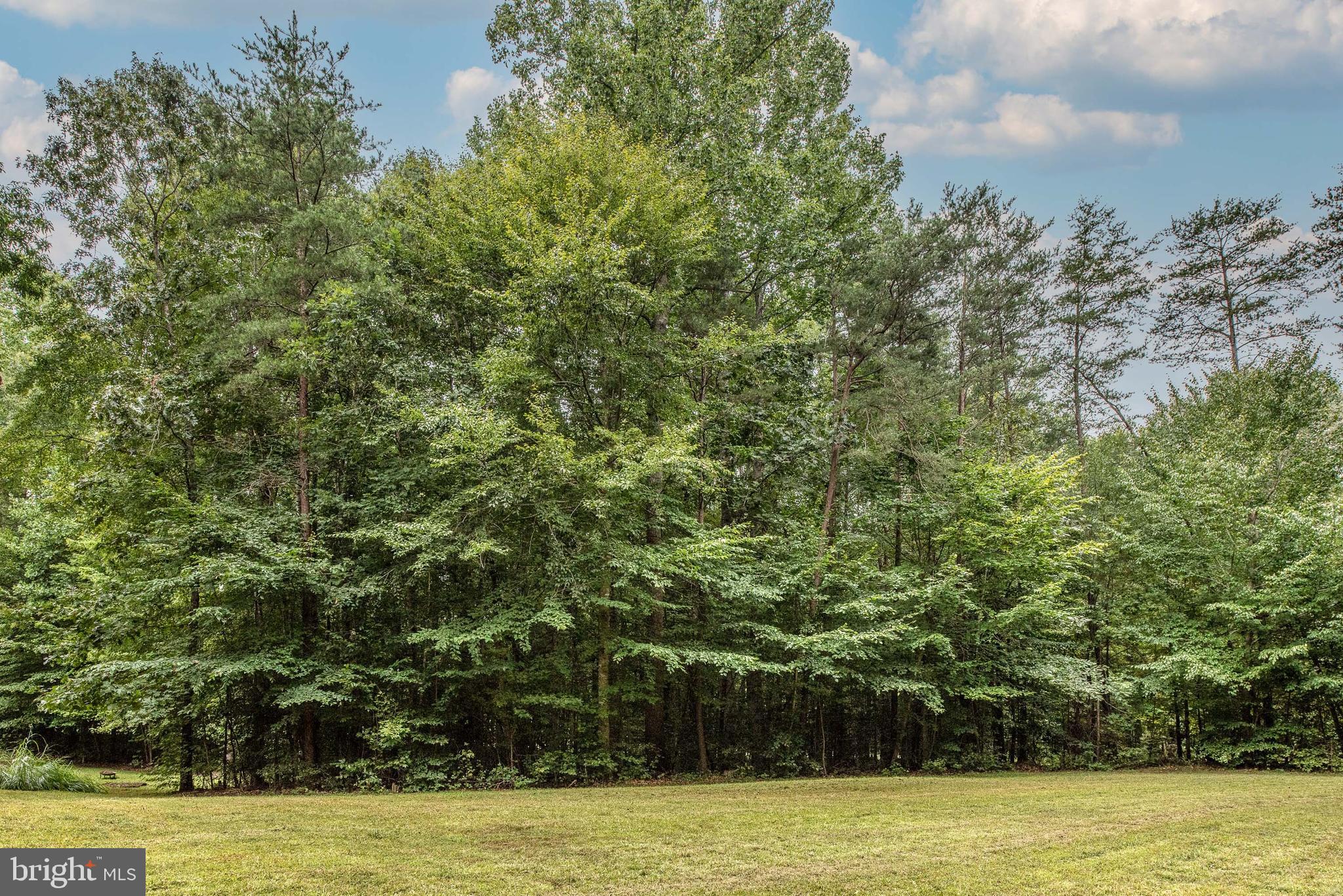 18 Marsh Run Road Fredericksburg, VA 22406 - Photo 59 of 68 Gallery Image 59