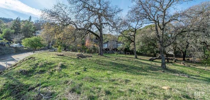 0 Ridgecrest Drive Napa, CA 94558 - Photo 4 of 12 a big yard with lots of green space and trees