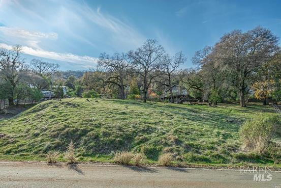 0 Ridgecrest Drive Napa, CA 94558 - Photo 8 of 12 a big yard with lots of green space