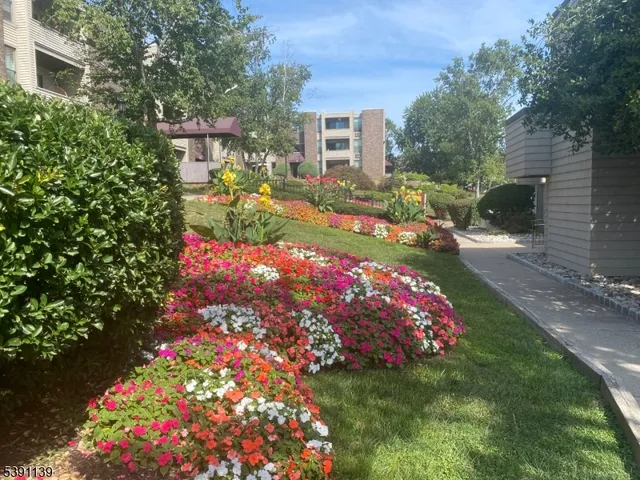 a view of a flower around in a yard