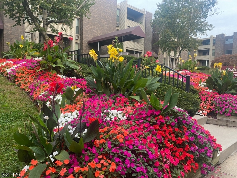 824 Main Street, Unit J Belleville, NJ 07109 - Photo 24 of 24 a view of street with flower and flowers