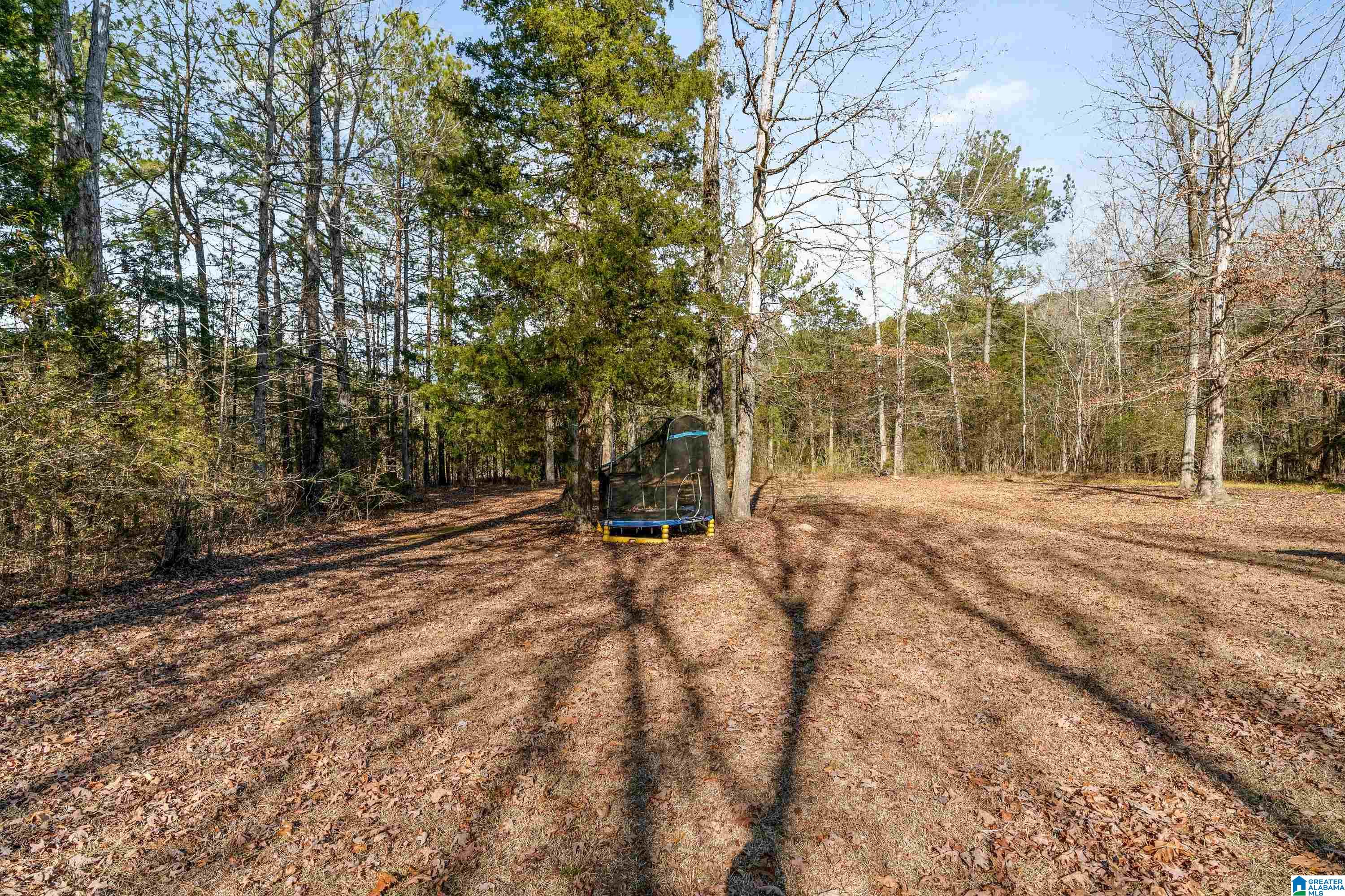 20 Eaglewood Farms Road Alabaster, AL 35114 - Photo 32 of 32 Gallery Image 32