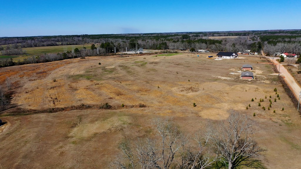 1132 Grant Road Slocomb, AL 36375 - Photo 4 of 14