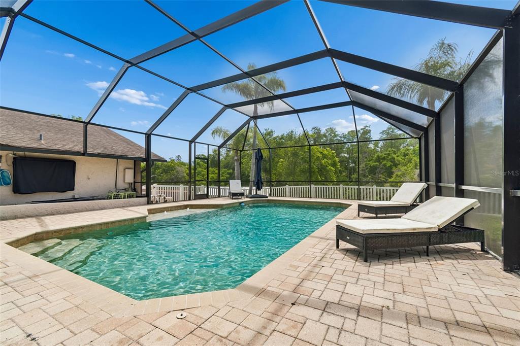 7871 Sycamore Drive New Port Richey, FL 34654 - Photo 35 of 46