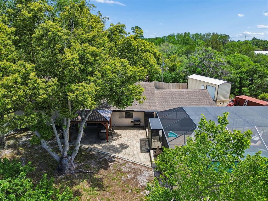 7871 Sycamore Drive New Port Richey, FL 34654 - Photo 41 of 46