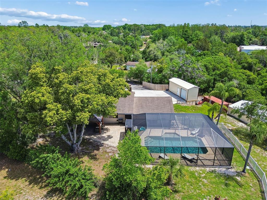 7871 Sycamore Drive New Port Richey, FL 34654 - Photo 43 of 46