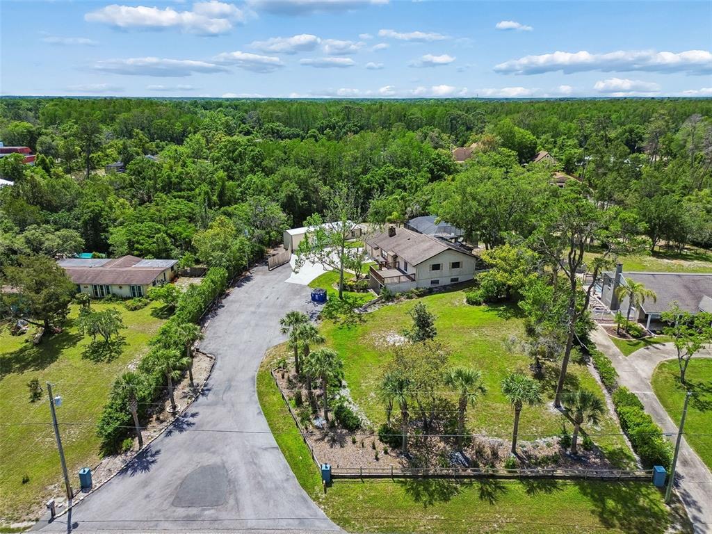 7871 Sycamore Drive New Port Richey, FL 34654 - Photo 5 of 46