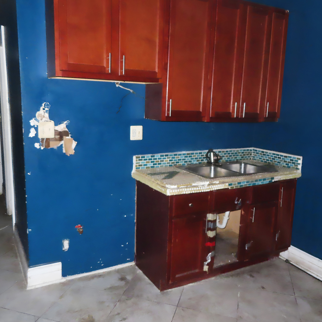 5607 South Emerald Avenue Chicago, IL 60621 - Photo 10 of 19