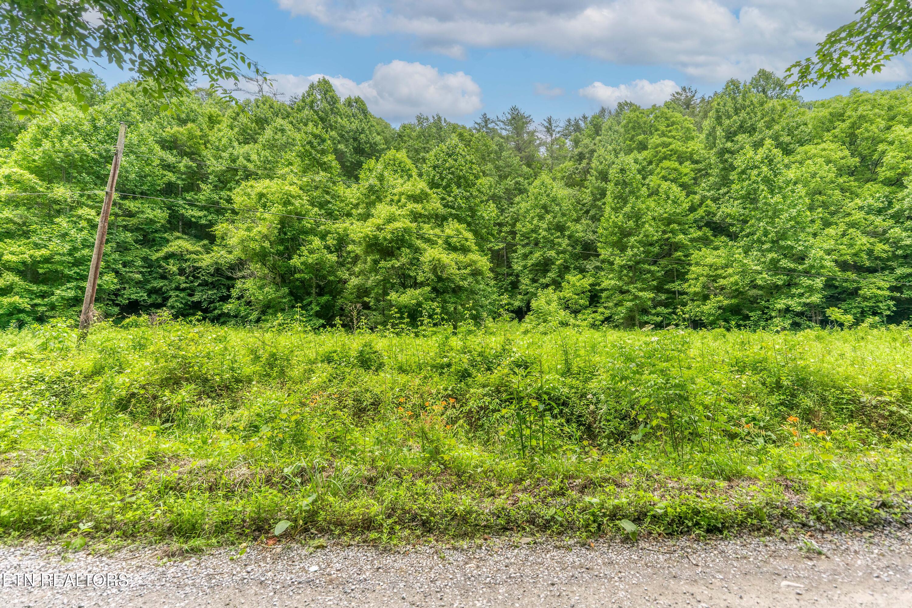 Johns Creek Road Del Rio, TN 37727 - Photo 1 of 17 _DSC3680-Edit-Edit