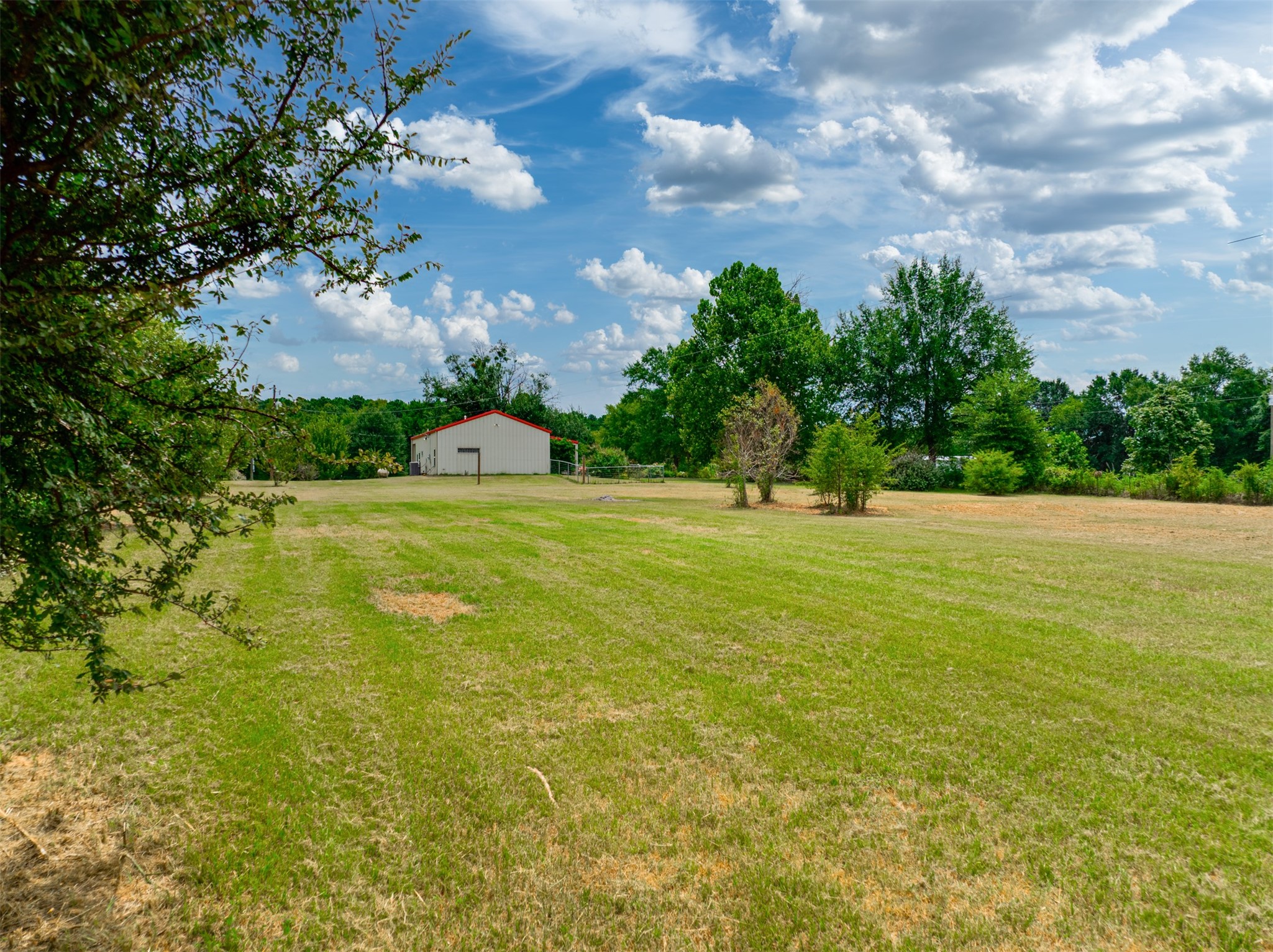 531 County Road 3501 Cuney, TX 75759 - Photo 11 of 45 a view of a garden with a building