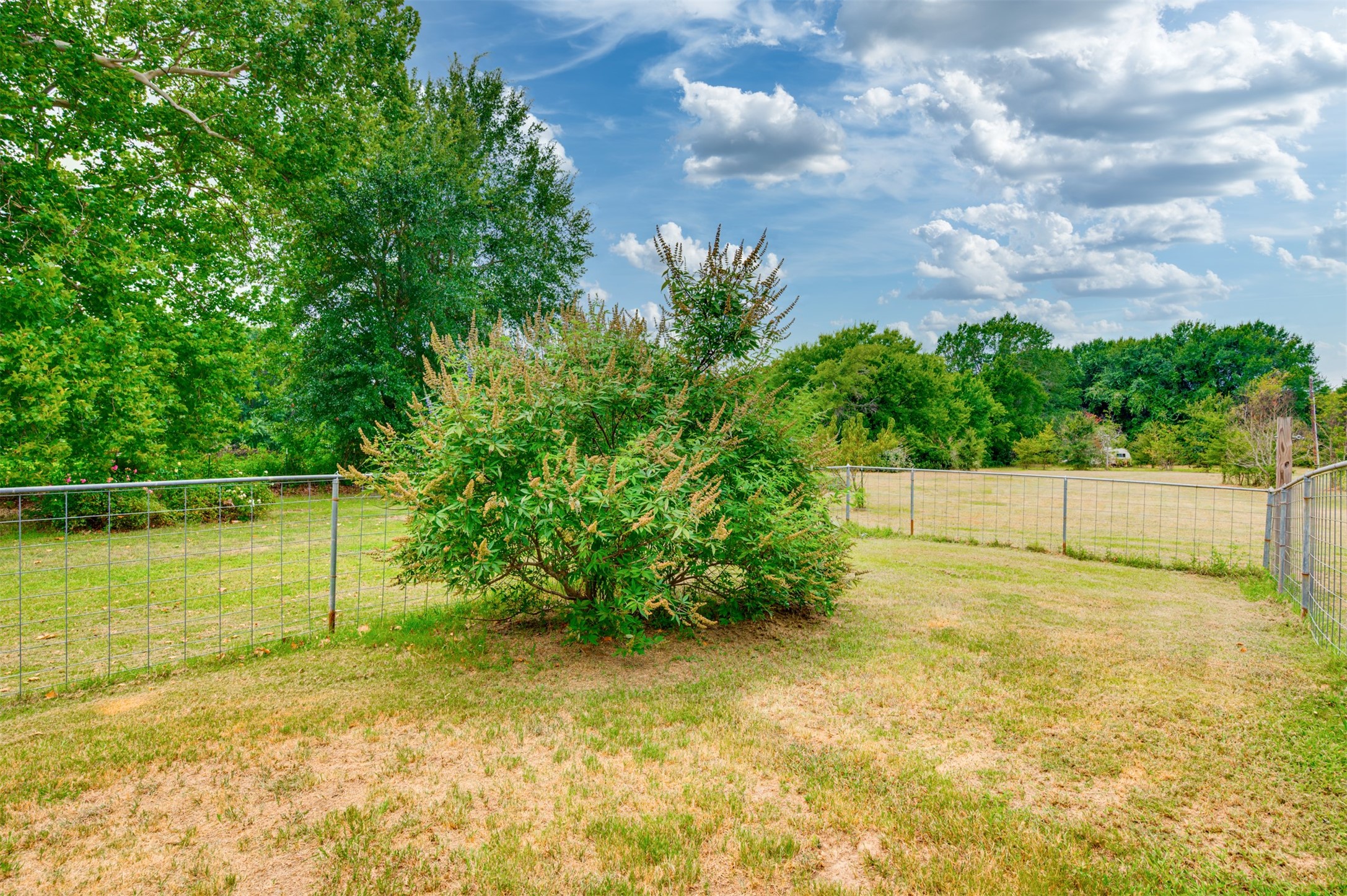 531 County Road 3501 Cuney, TX 75759 - Photo 36 of 45 a view of a backyard