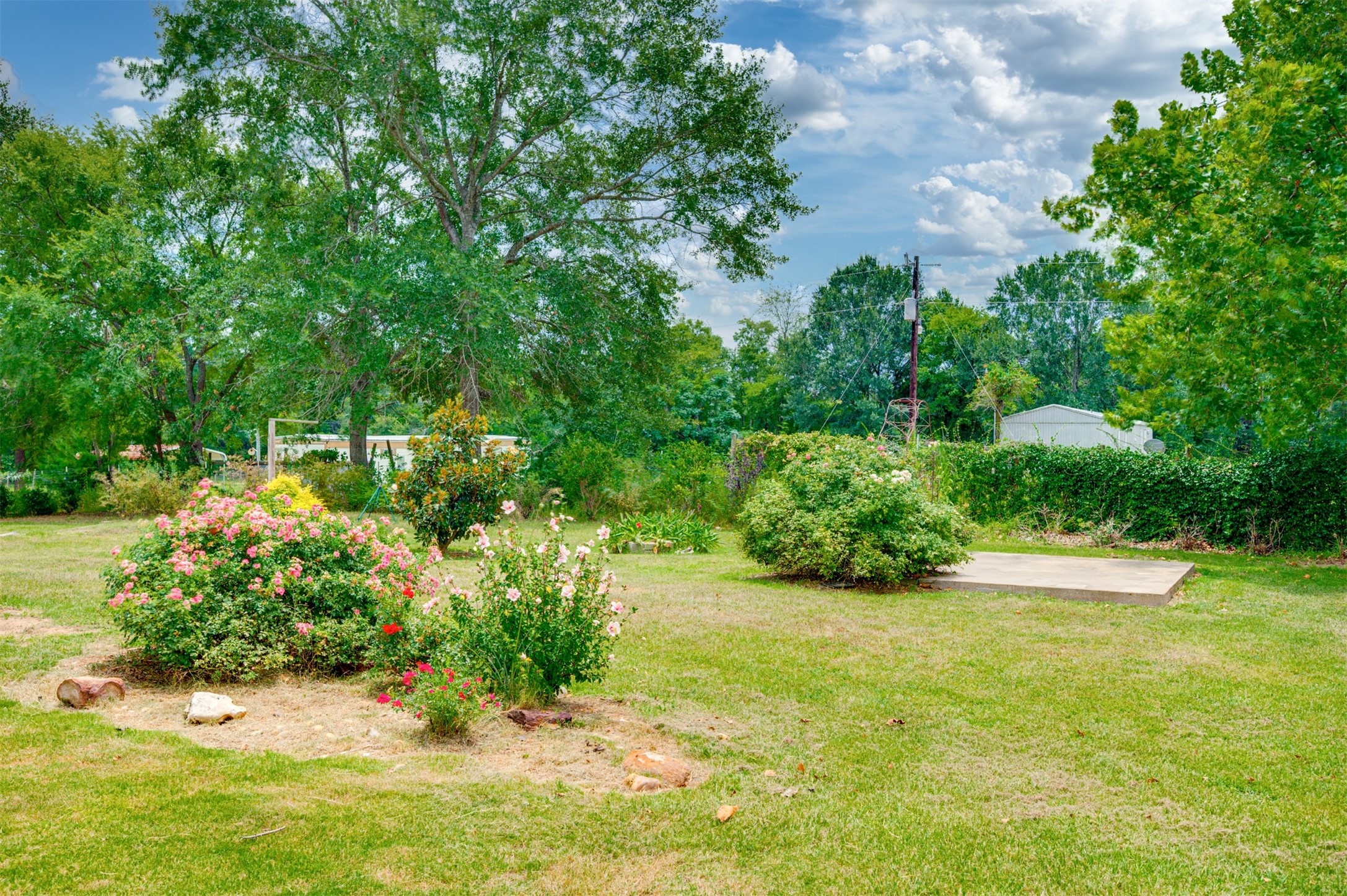 531 County Road 3501 Cuney, TX 75759 - Photo 37 of 45 a view of yard with green space