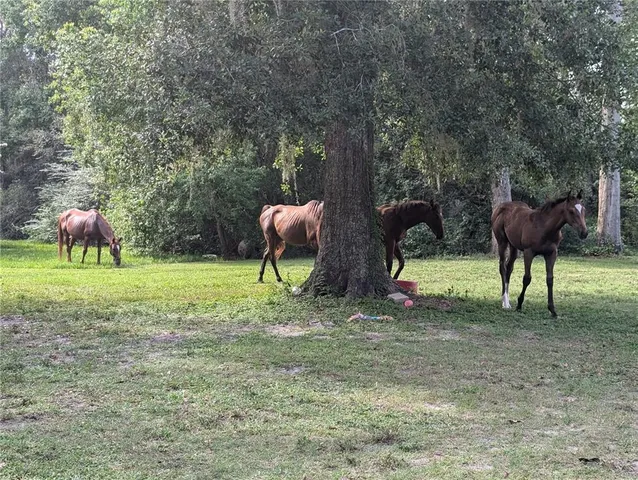 a view of a backyard with sitting area