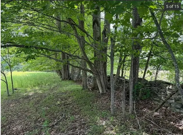 $109,888 | 125 Dimmick Mountain Road, Fleischmanns, NY 12430