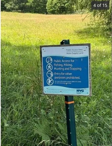 $109,888 | 125 Dimmick Mountain Road, Fleischmanns, NY 12430