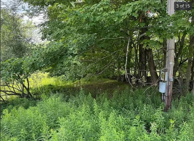 $109,888 | 125 Dimmick Mountain Road, Fleischmanns, NY 12430