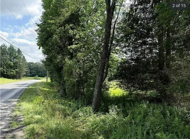 $109,888 | 125 Dimmick Mountain Road, Fleischmanns, NY 12430