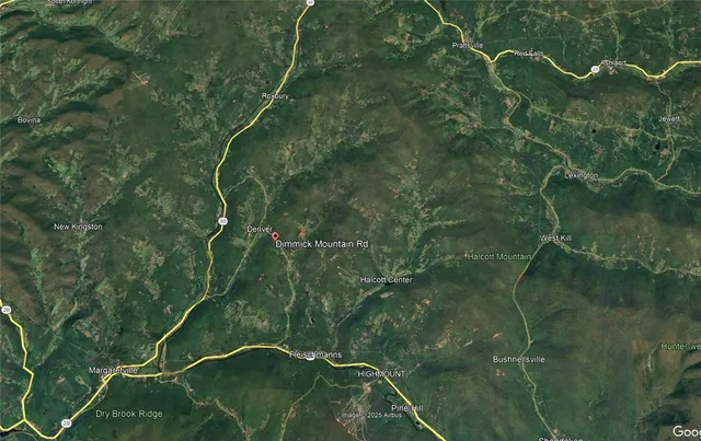 $109,888 | 125 Dimmick Mountain Road, Fleischmanns, NY 12430