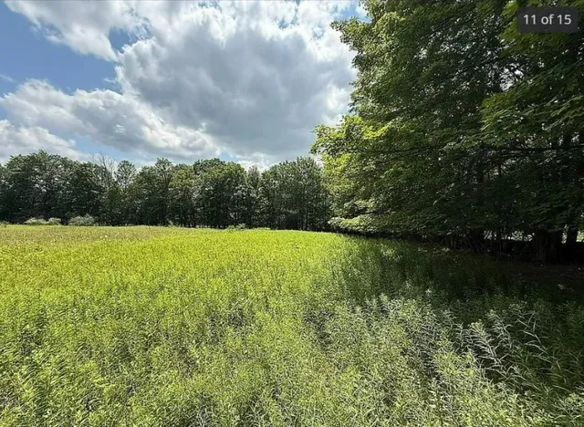 $109,888 | 125 Dimmick Mountain Road, Fleischmanns, NY 12430