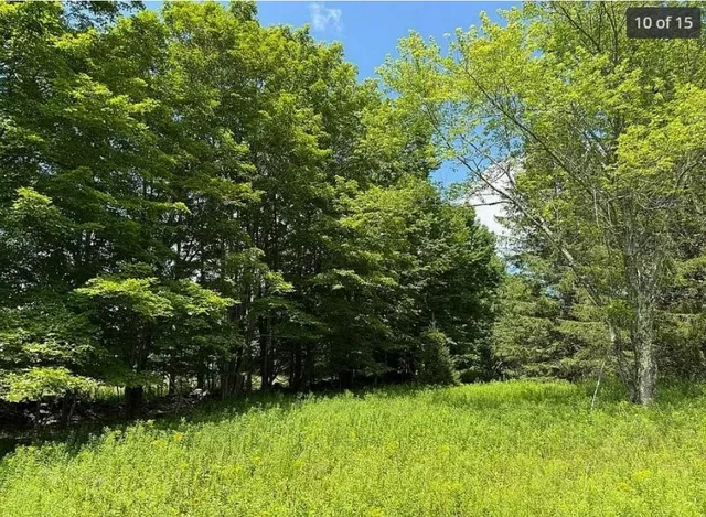 $109,888 | 125 Dimmick Mountain Road, Fleischmanns, NY 12430