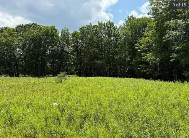 $109,888 | 125 Dimmick Mountain Road, Fleischmanns, NY 12430