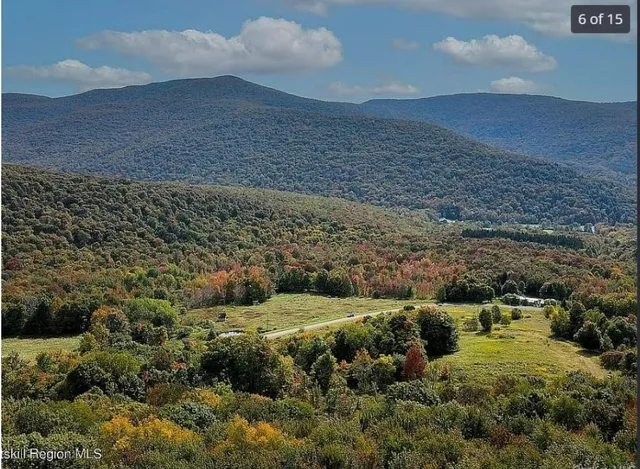 $109,888 | 125 Dimmick Mountain Road, Fleischmanns, NY 12430