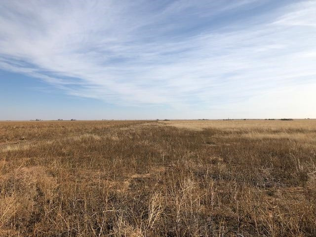 0 Atlanta Road Littlefield, TX 79339 - Photo 1 of 6 Photo 1