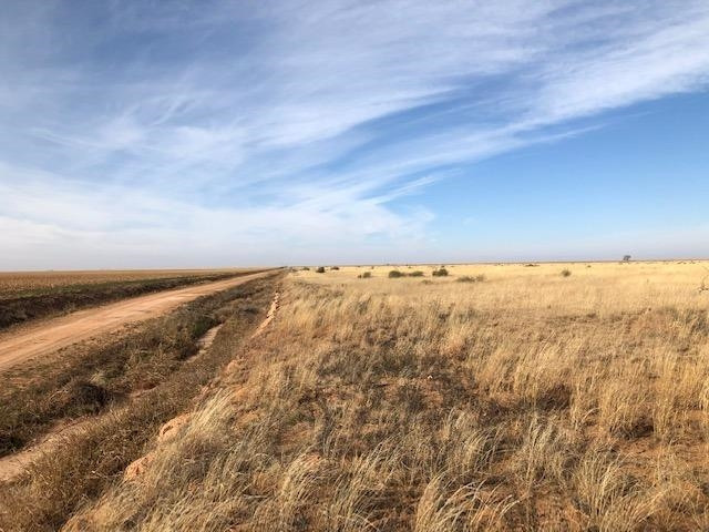 0 Atlanta Road Littlefield, TX 79339 - Photo 5 of 6 Photo 5