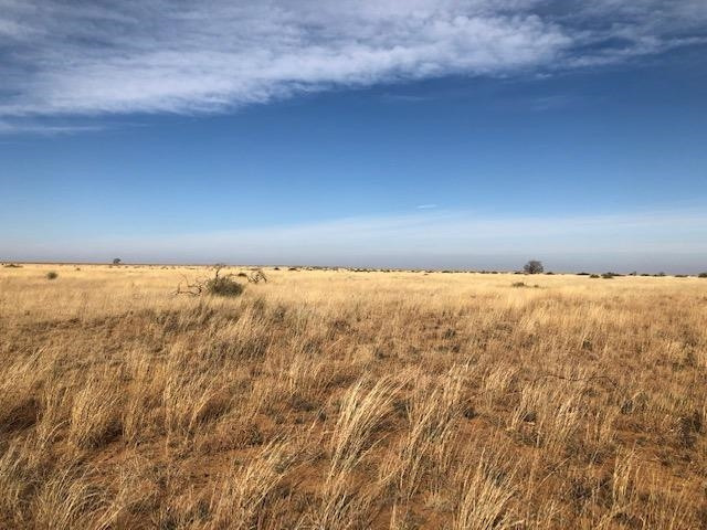 0 Atlanta Road Littlefield, TX 79339 - Photo 6 of 6 Photo 6