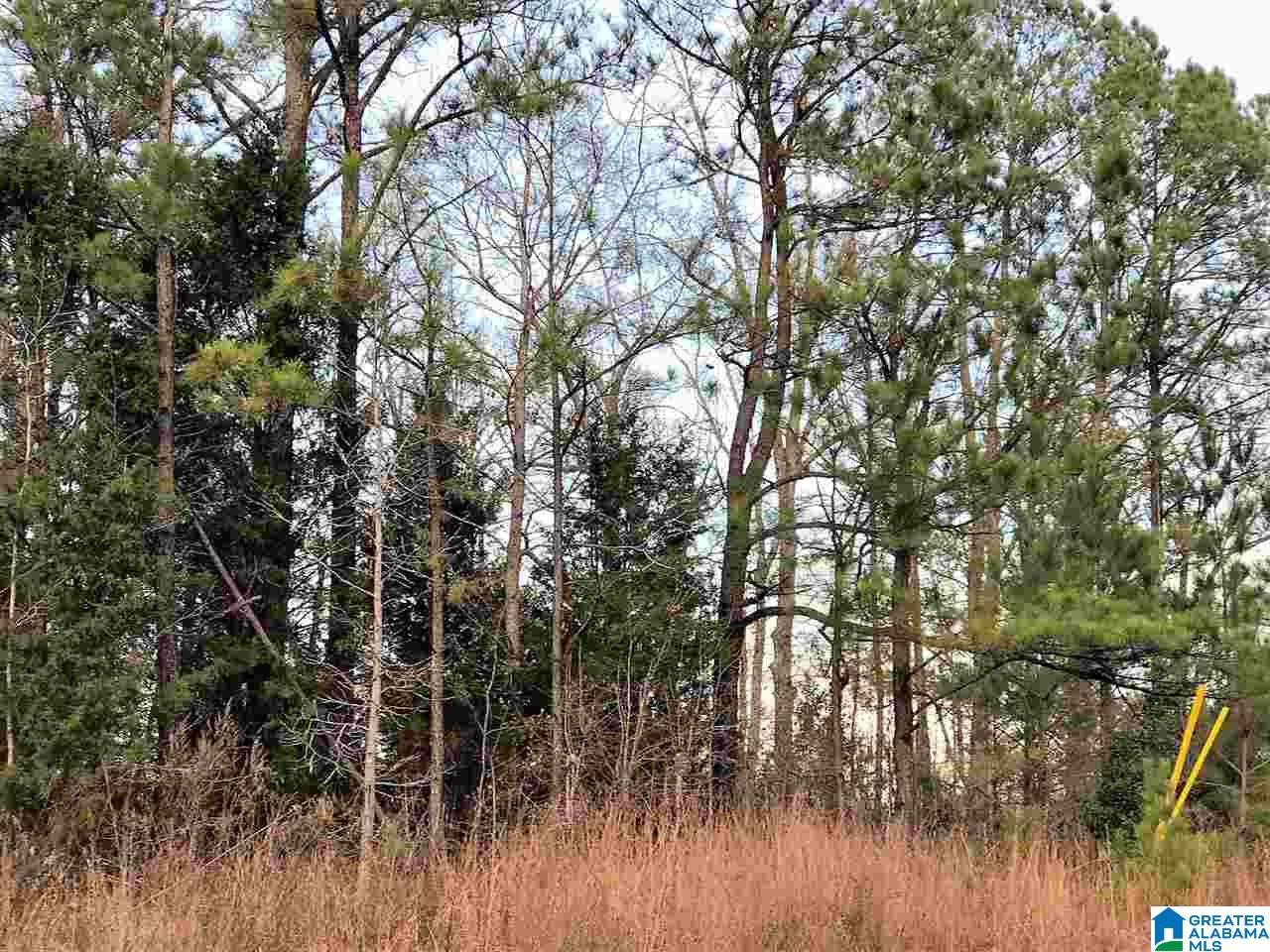 12186 Plowman Road, Unit 2 ACRES Gordo, AL 35466 - Photo 2 of 5
