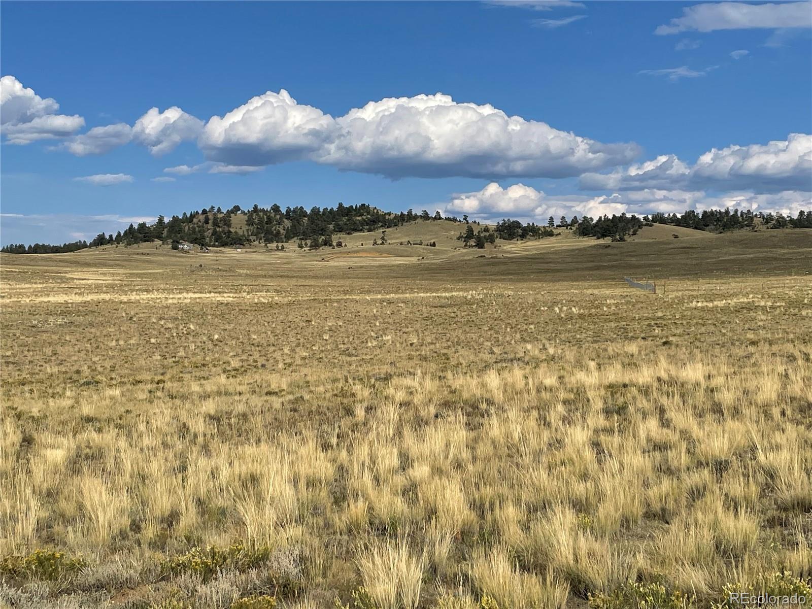 0 Athapascan Road Hartsel, CO 80449 - Photo 11 of 14