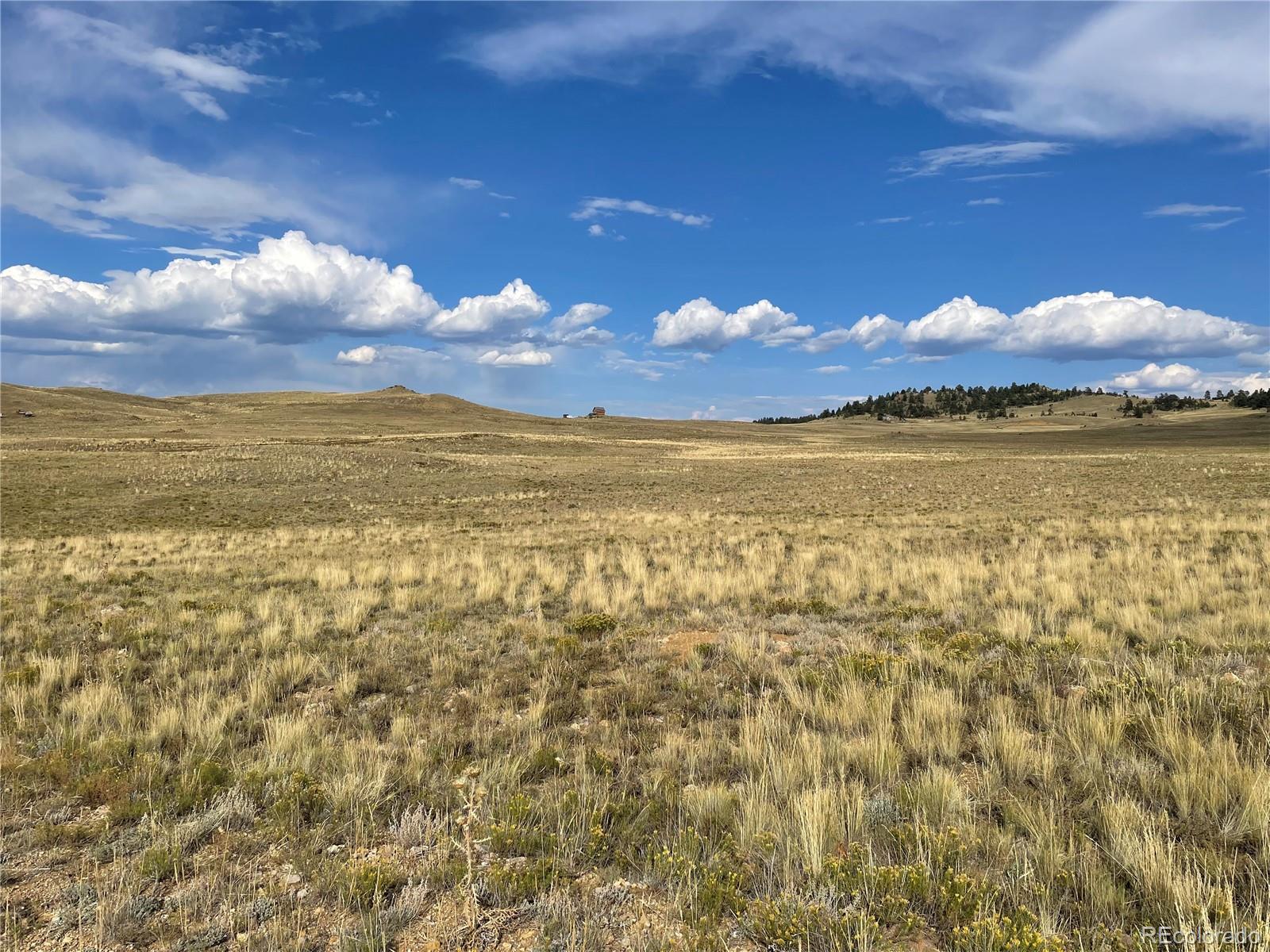 0 Athapascan Road Hartsel, CO 80449 - Photo 9 of 14