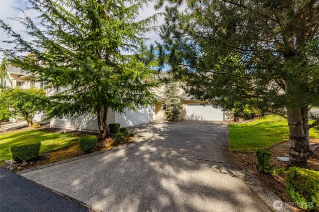 a view of a park with large trees