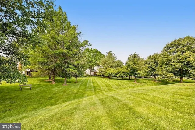 a view of an empty space with a lake view