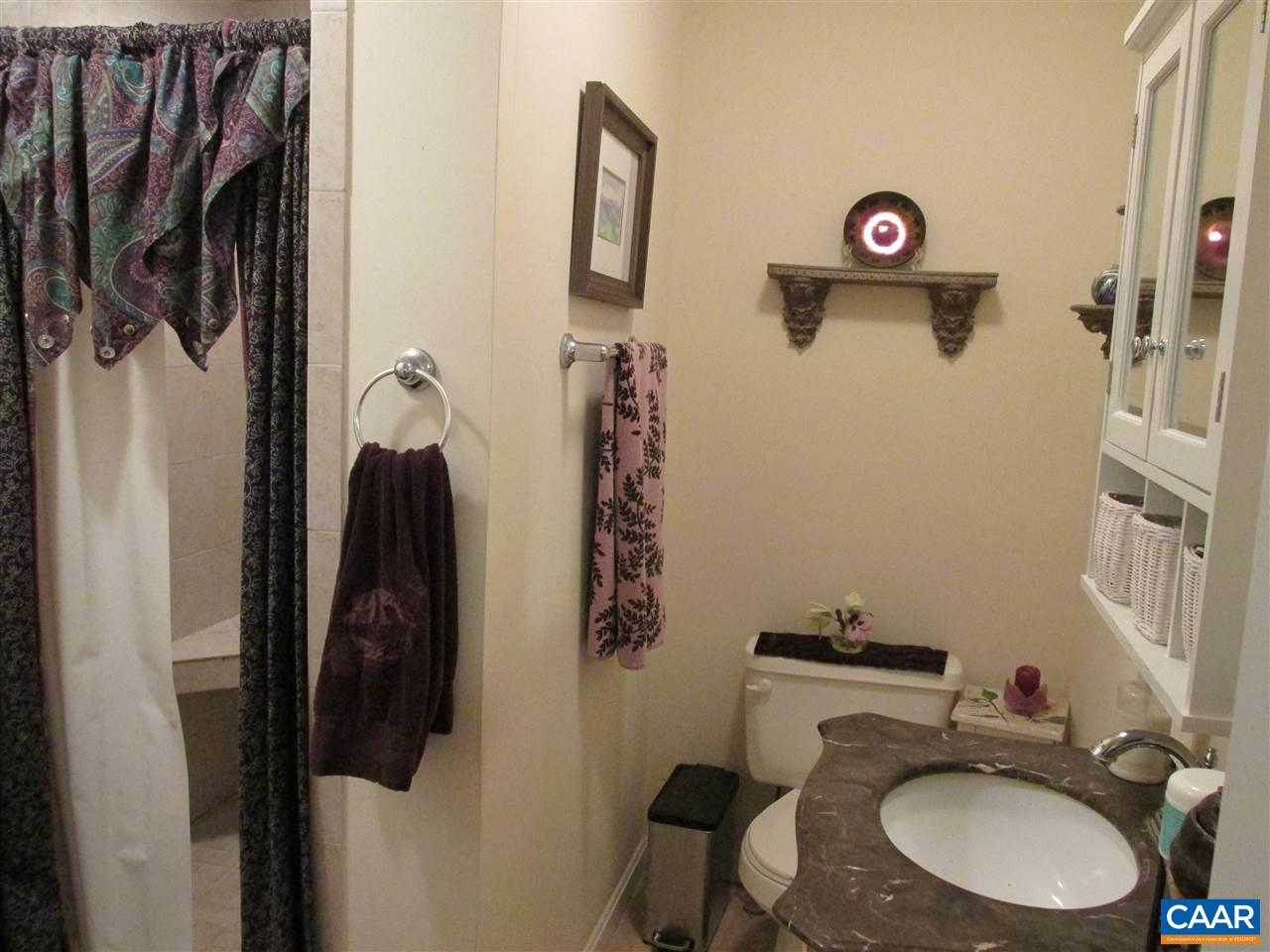 688 Carnation Road Ruckersville, VA 22968 - Photo 11 of 25 a bathroom with a sink and a mirror