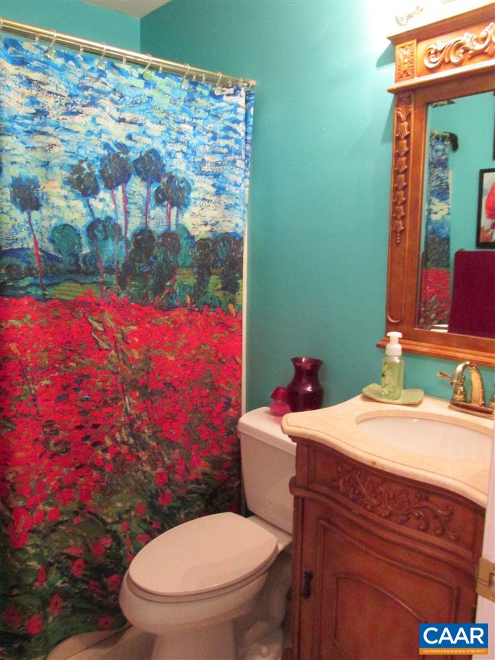 688 Carnation Road Ruckersville, VA 22968 - Photo 16 of 25 a bathroom with a sink toilet and mirror