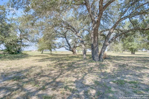 a view of dirt yard with a tree