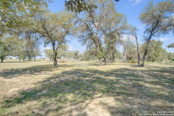 a view of dirt yard and covered with trees