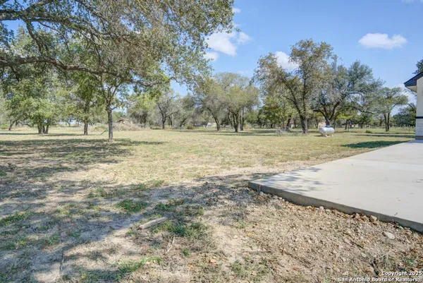 a view of a yard with an trees