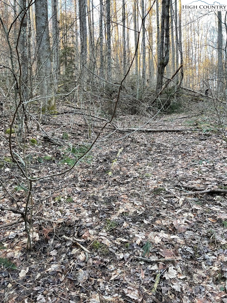 0 Dark Ridge Road Elk Park, NC 28622 - Photo 18 of 22 Gallery Image 18