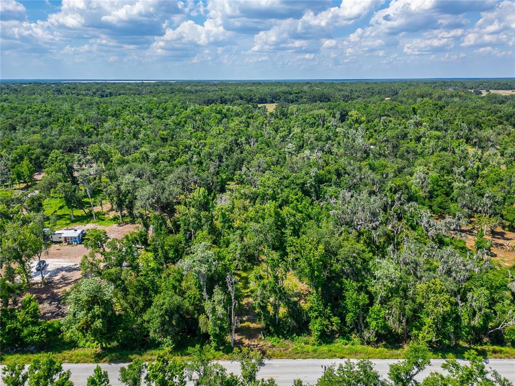 672 Highway Lithia Lithia, FL 33547 - Photo 6 of 24