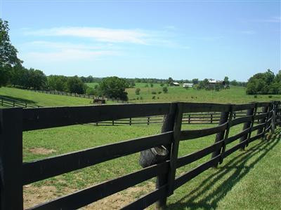 524 Big Stoner Road Winchester, KY 40391 - Photo 9 of 69 4 plank fencing...water at the fenc and