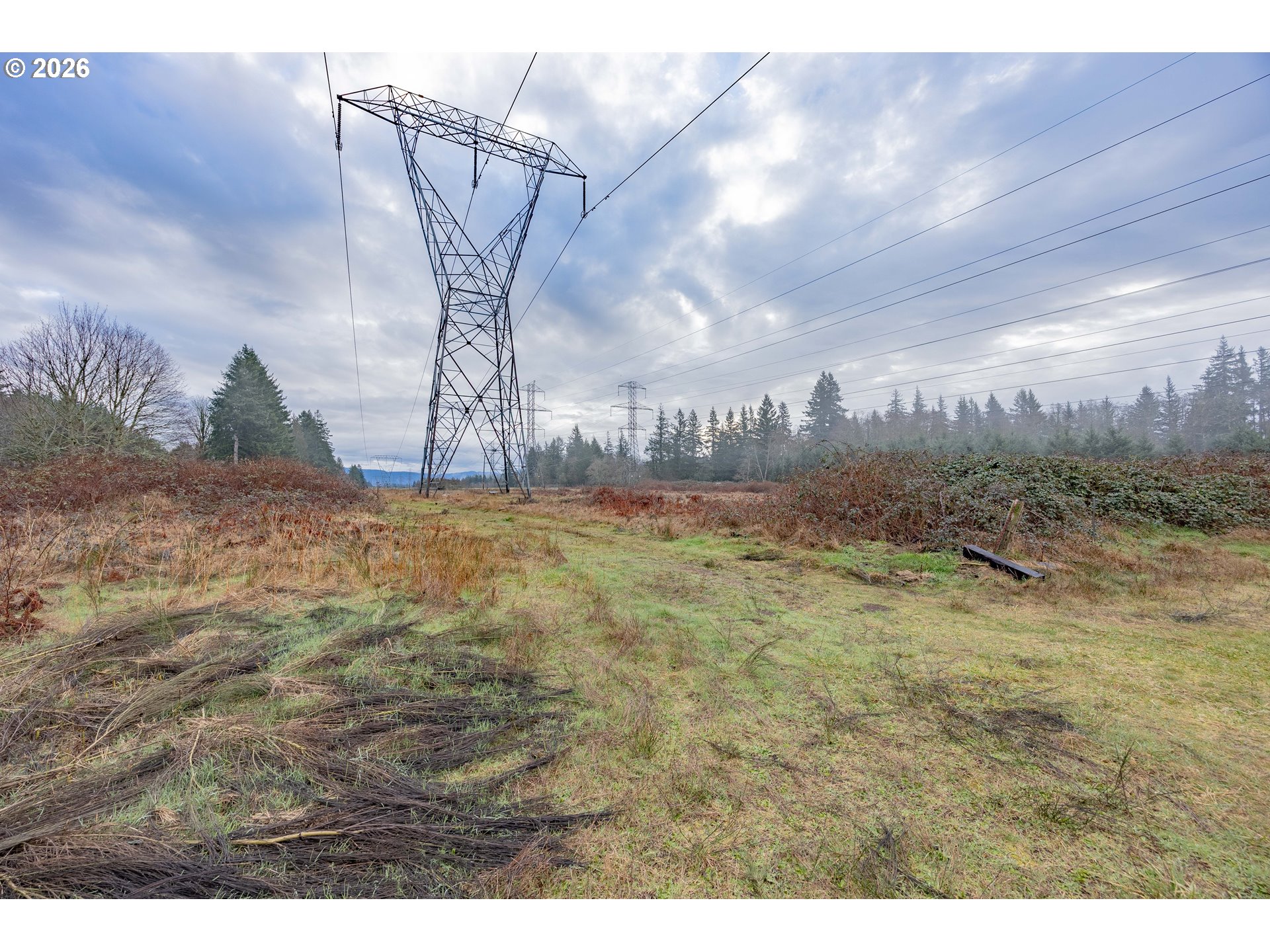 44964 Southeast Coalman Road Sandy, OR 97055 - Photo 9 of 11