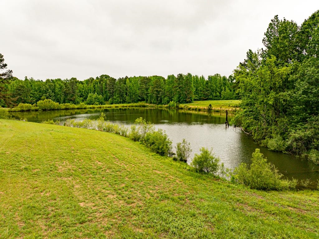 0 Poplar Grove Cemetery Road Henning, TN 38041 - Photo 7 of 40 Expansive green space featuring a large pond bordered by lush trees and natural foliage