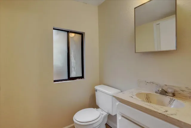 a view of a forest with trees in the background