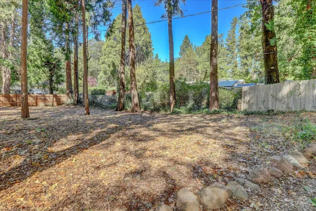 a view of a city with lush green forest