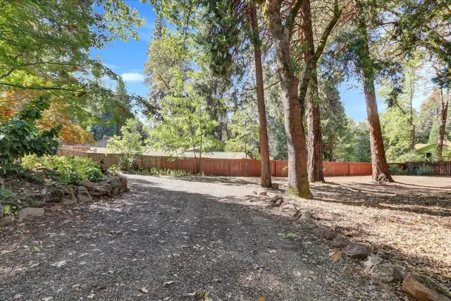a view of a city with lush green forest
